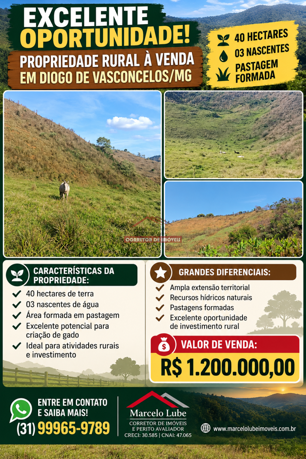 Terreno > venda > DIOGO DE VASCONCELOS