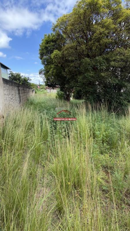 lote-venda-morro-da-agua-quente-1048303