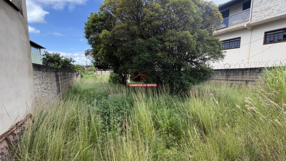 lote-venda-morro-da-agua-quente-1048304