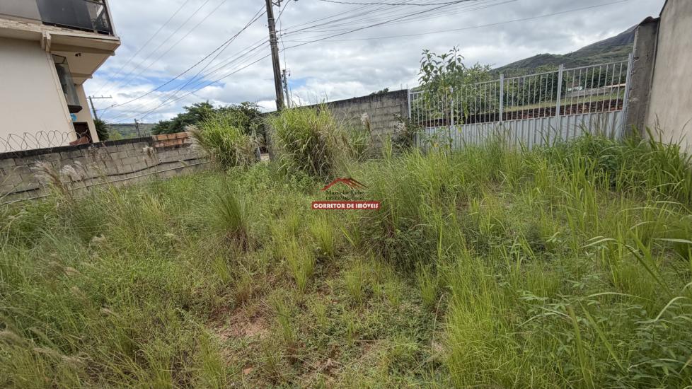 lote-venda-morro-da-agua-quente-1048305