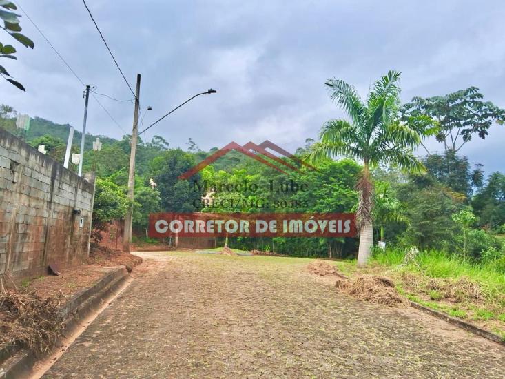 lote-venda-padre-viegas-1058630