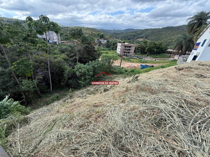 lote-venda-boungaville-1054170