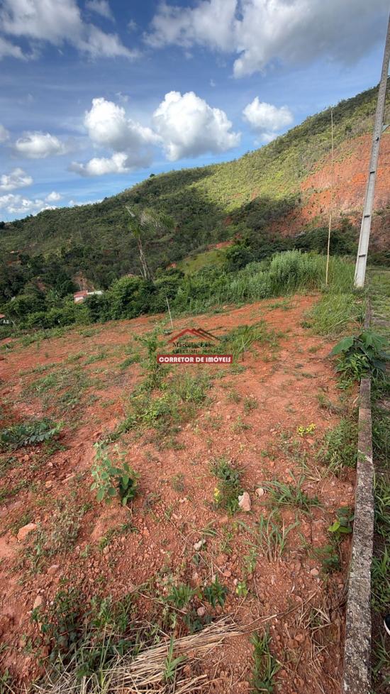 lote-venda-padre-viegas-1053331