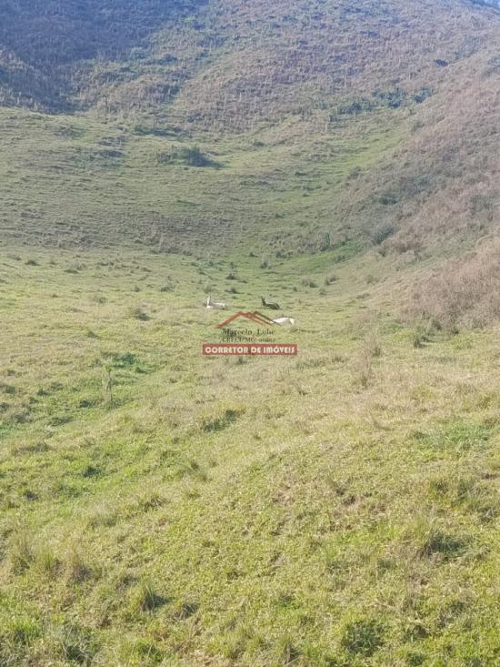 terreno-venda-diogo-de-vasconcelos-1065085