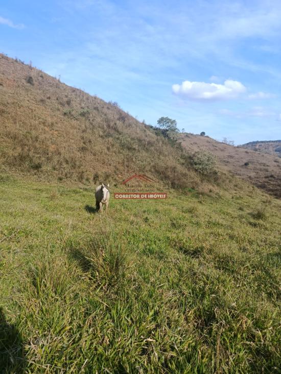 terreno-venda-diogo-de-vasconcelos-1065086