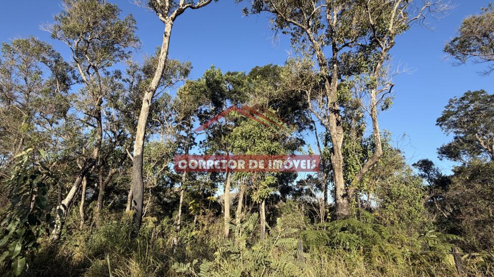 lote-venda-cachoeira-do-campo-1059658