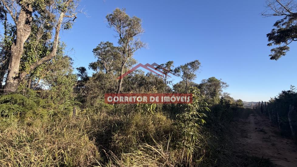 lote-venda-cachoeira-do-campo-1059659