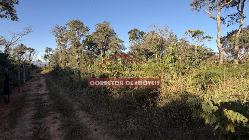 lote-venda-cachoeira-do-campo-1059661