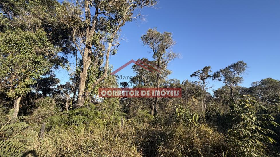 lote-venda-cachoeira-do-campo-1059663