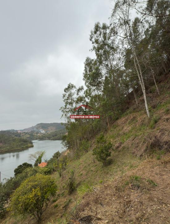 terreno-venda-miguel-rodrigues-1029935