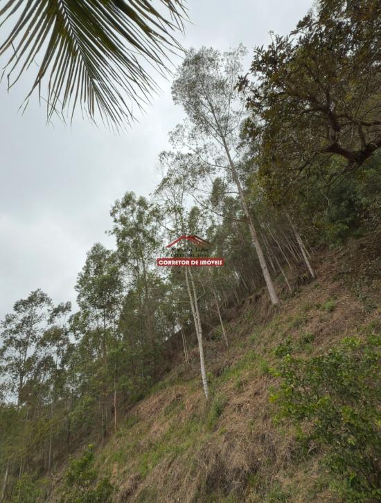 terreno-venda-miguel-rodrigues-1029936