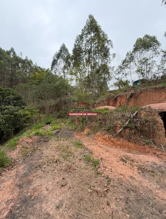 terreno-venda-miguel-rodrigues-1029937