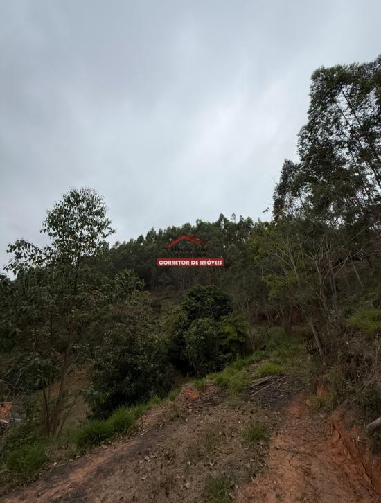 terreno-venda-miguel-rodrigues-1029938