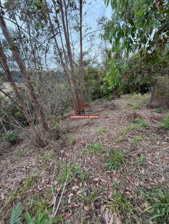 terreno-venda-miguel-rodrigues-1029940