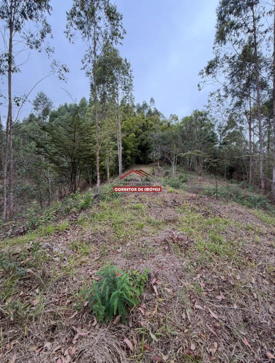 terreno-venda-miguel-rodrigues-1029941