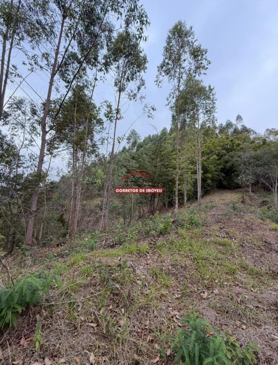 terreno-venda-miguel-rodrigues-1029942