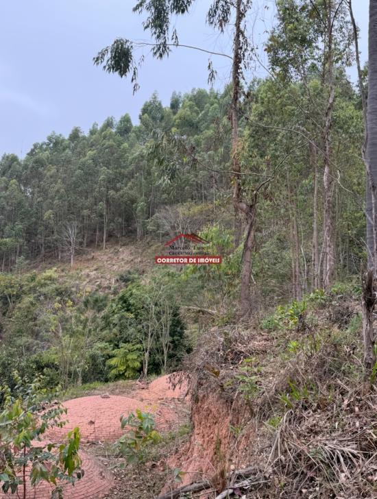 terreno-venda-miguel-rodrigues-1029943
