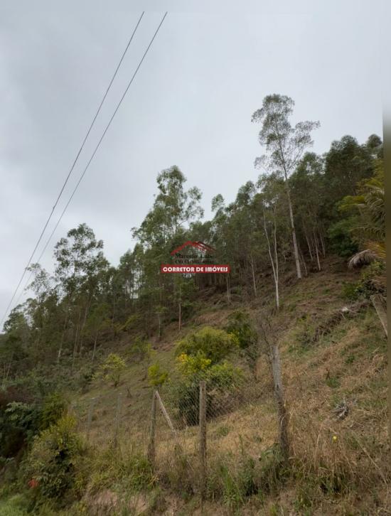 terreno-venda-miguel-rodrigues-1029944