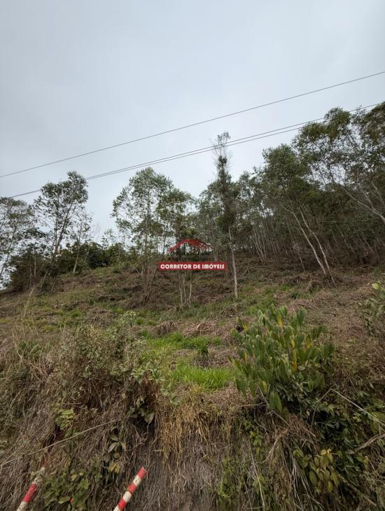 terreno-venda-miguel-rodrigues-1029945