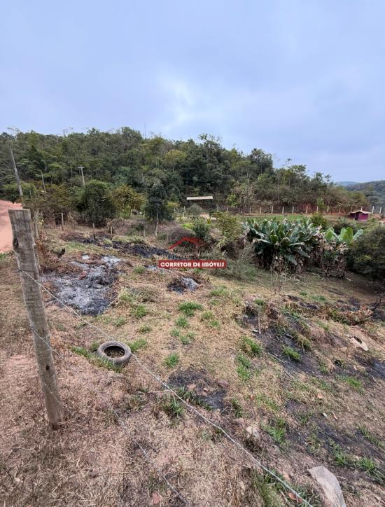 lote-venda-miguel-rodrigues-1029968