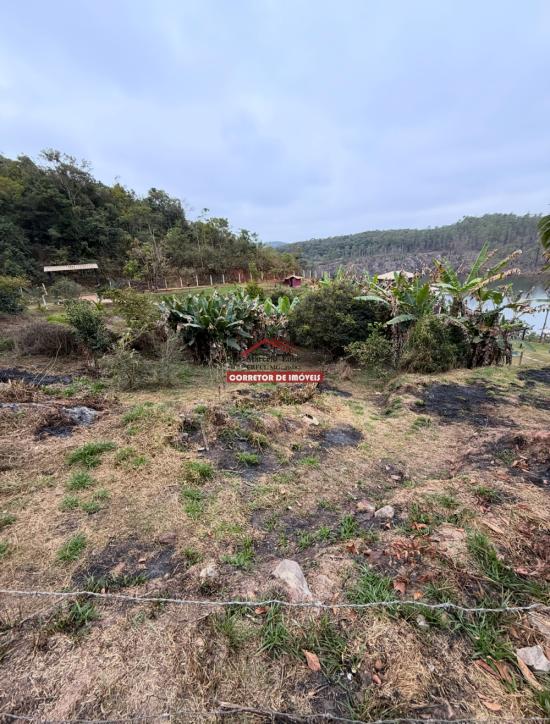 lote-venda-miguel-rodrigues-1029969