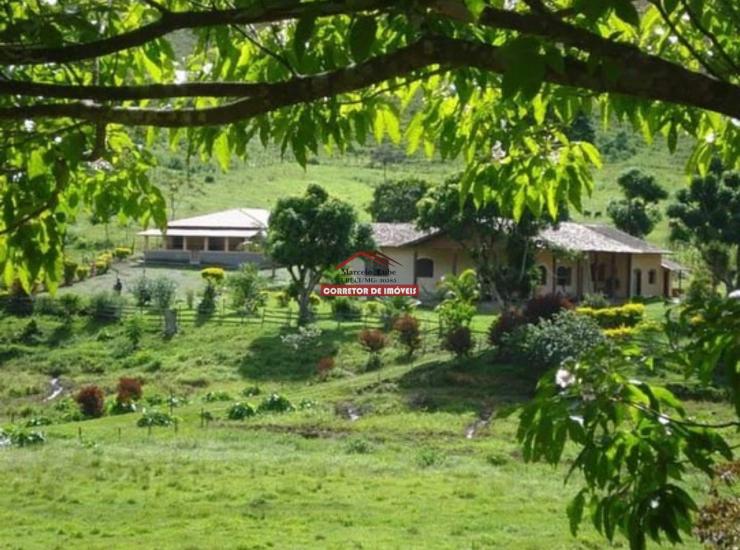 fazenda-venda-aguas-claras-mariana-1033973