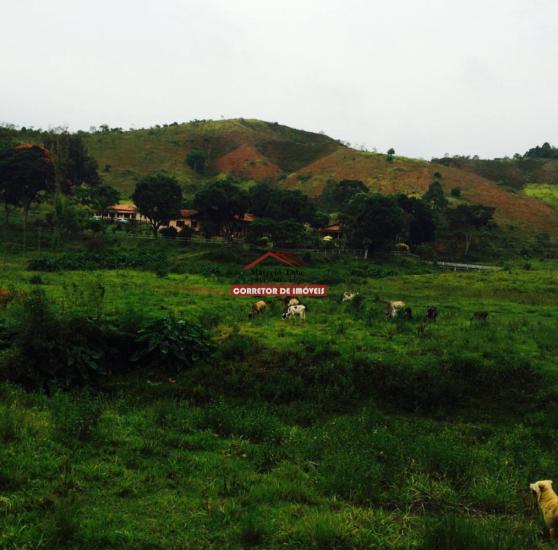 fazenda-venda-aguas-claras-mariana-1033980