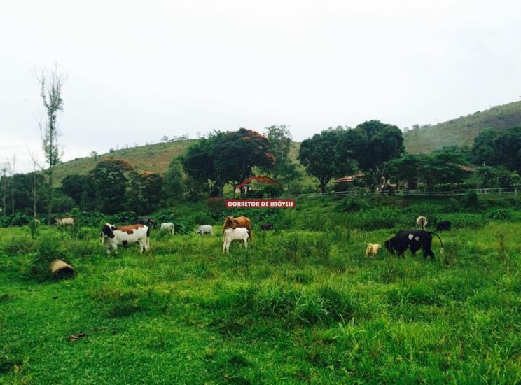 fazenda-venda-aguas-claras-mariana-1033981