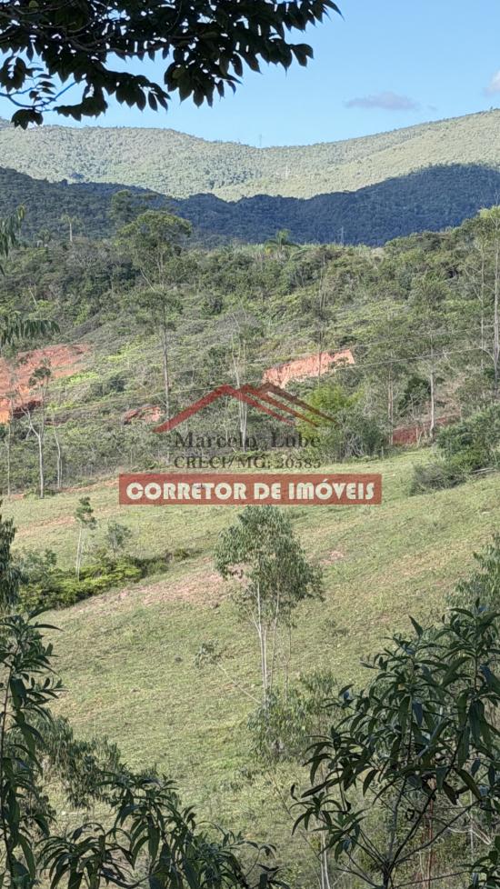 terreno-venda-padre-viegas-1057563