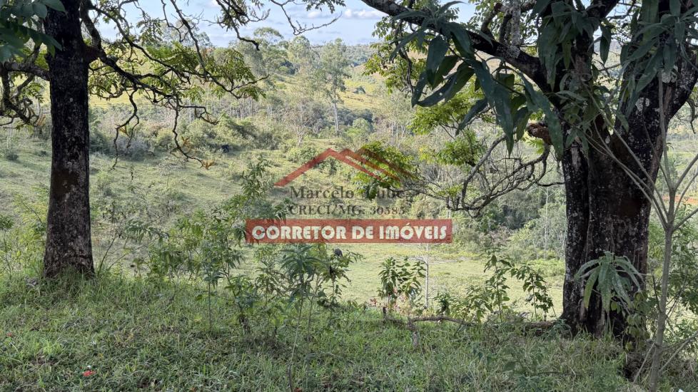terreno-venda-padre-viegas-1057564