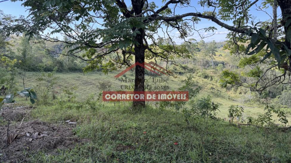 terreno-venda-padre-viegas-1057565