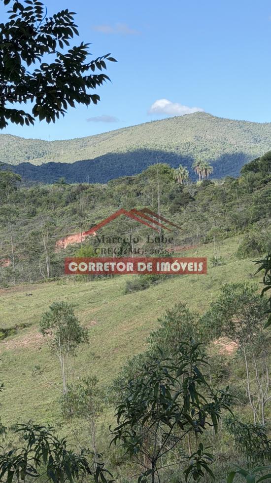 terreno-venda-padre-viegas-1057566