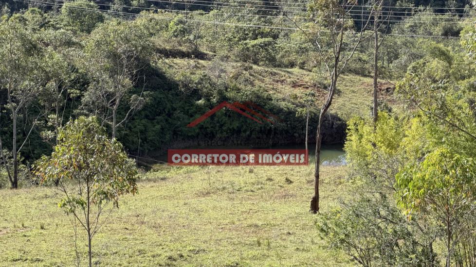 terreno-venda-padre-viegas-1057568