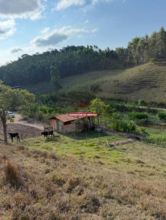 sitio-venda-barro-branco-mariana-1038110