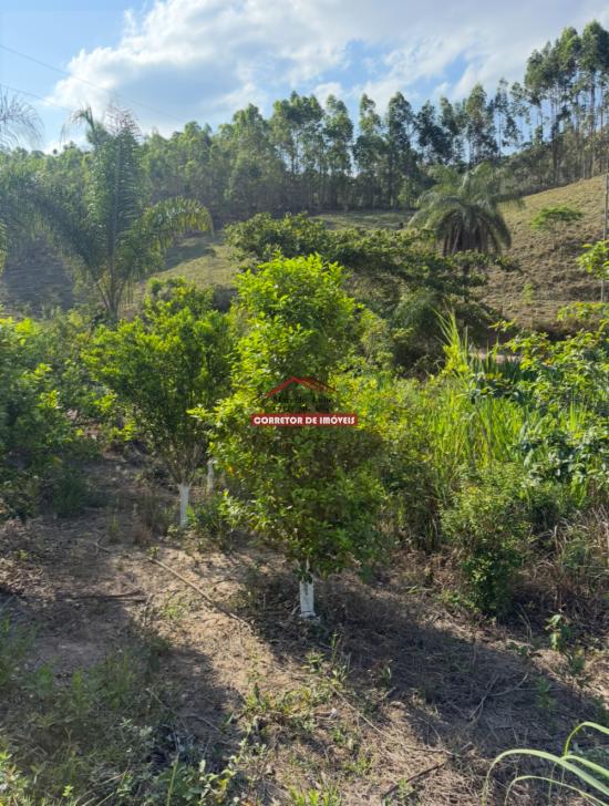 sitio-venda-barro-branco-mariana-1038112