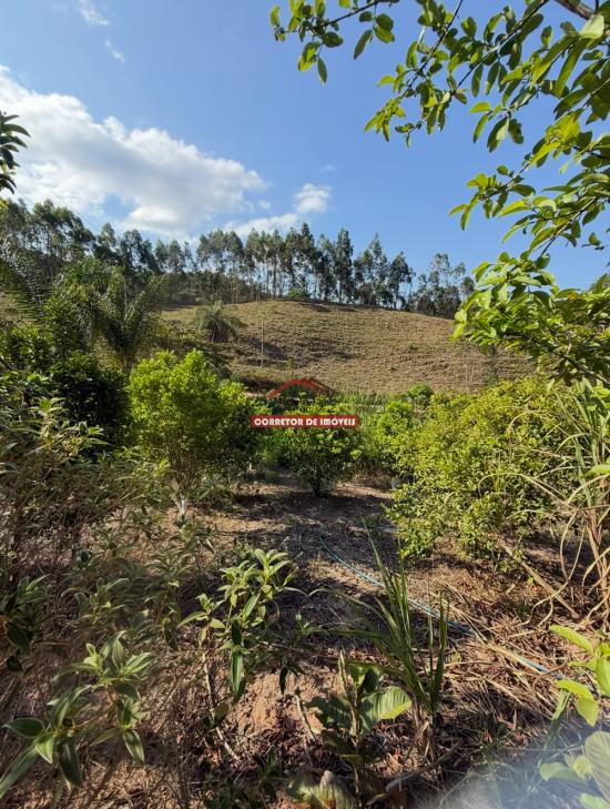 sitio-venda-barro-branco-mariana-1038119