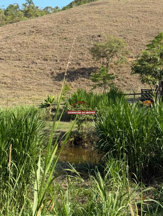 sitio-venda-barro-branco-mariana-1038120