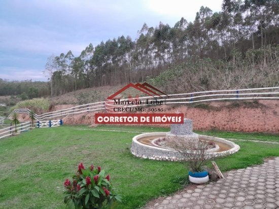 fazenda-venda-senhora-de-oliveira-841821