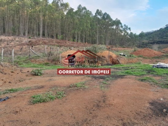 fazenda-venda-senhora-de-oliveira-841812