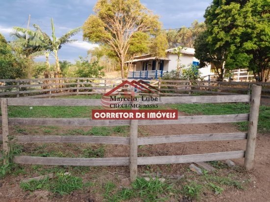 fazenda-venda-senhora-de-oliveira-841813