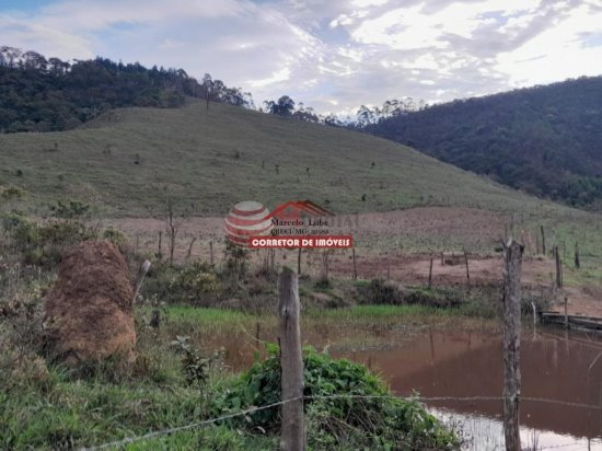 fazenda-venda-senhora-de-oliveira-841814