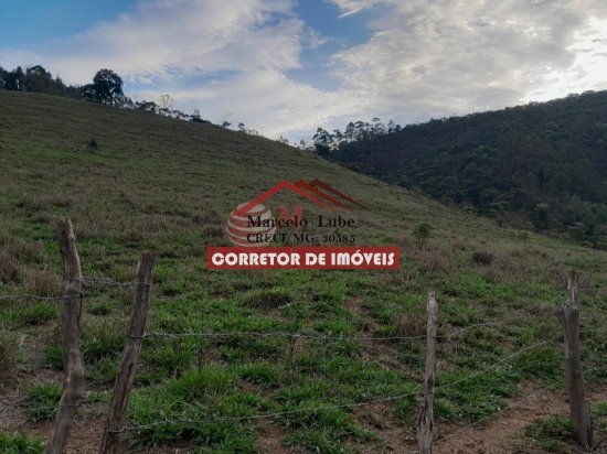 fazenda-venda-senhora-de-oliveira-841815