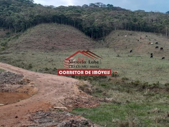 fazenda-venda-senhora-de-oliveira-841818