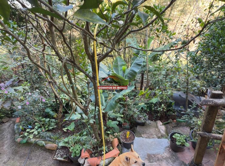 casa-venda-alto-da-cruz-ouro-preto-1026847