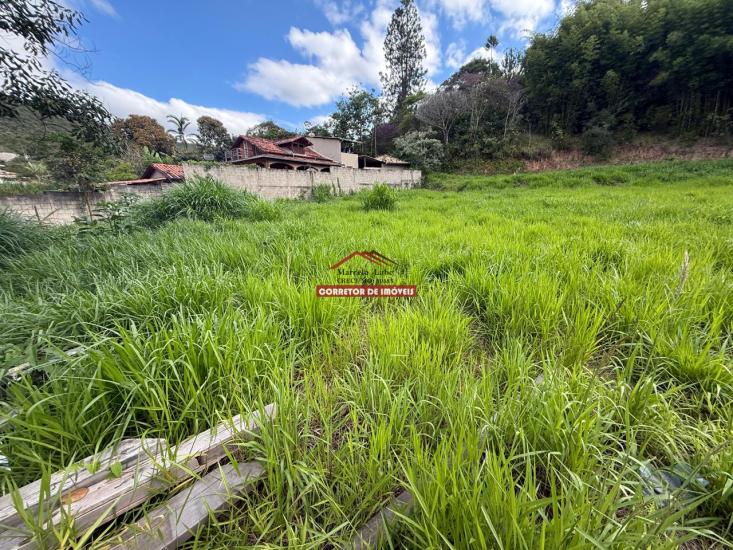 lote-venda-padre-viegas-mariana-1027186