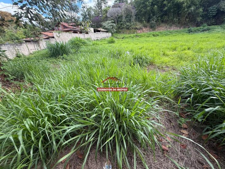 lote-venda-padre-viegas-mariana-1027187