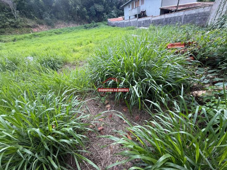 lote-venda-padre-viegas-mariana-1027188