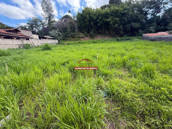 lote-venda-padre-viegas-mariana-1027189