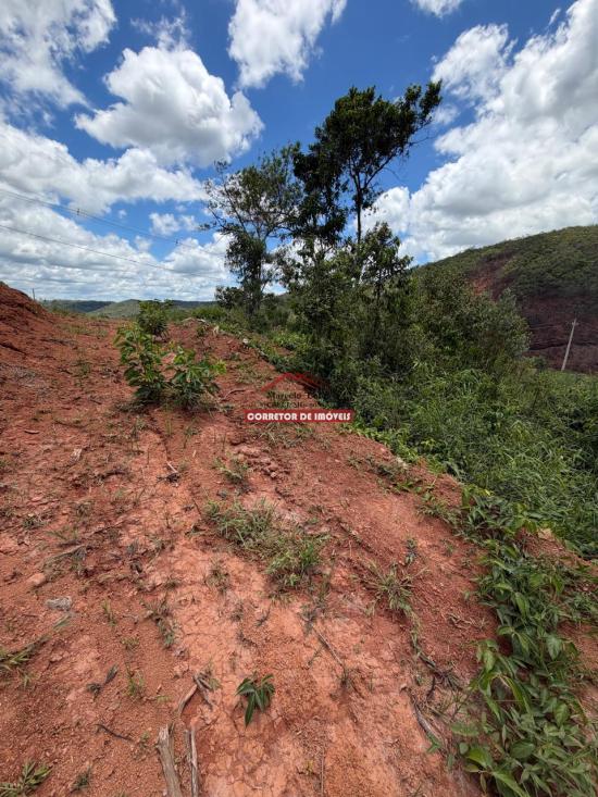 lote-venda-padre-viegas-mariana-1043353